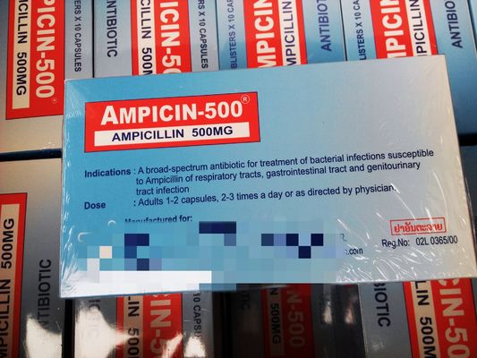 Ampicilina Cápsulas 250MG 500MG BP / USP Penicilinas Medicamentos